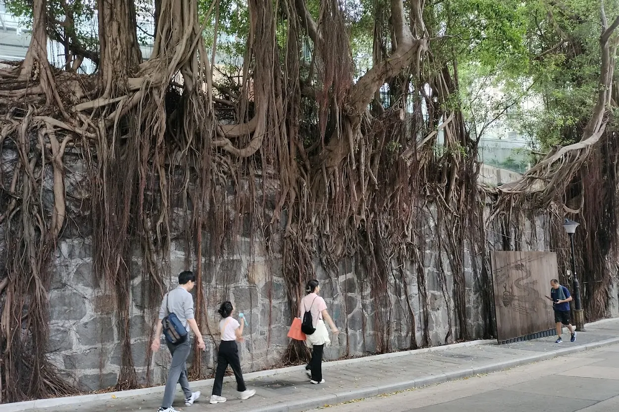 以太坊創世十週年（下）：百年以人